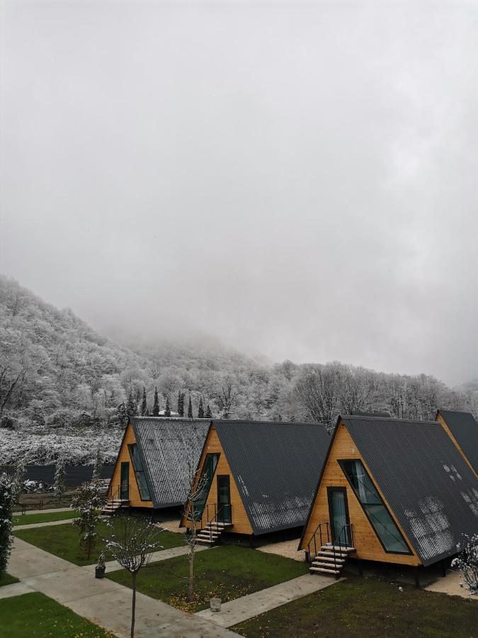Reserve Resort Lagodekhi Eksteriør bilde