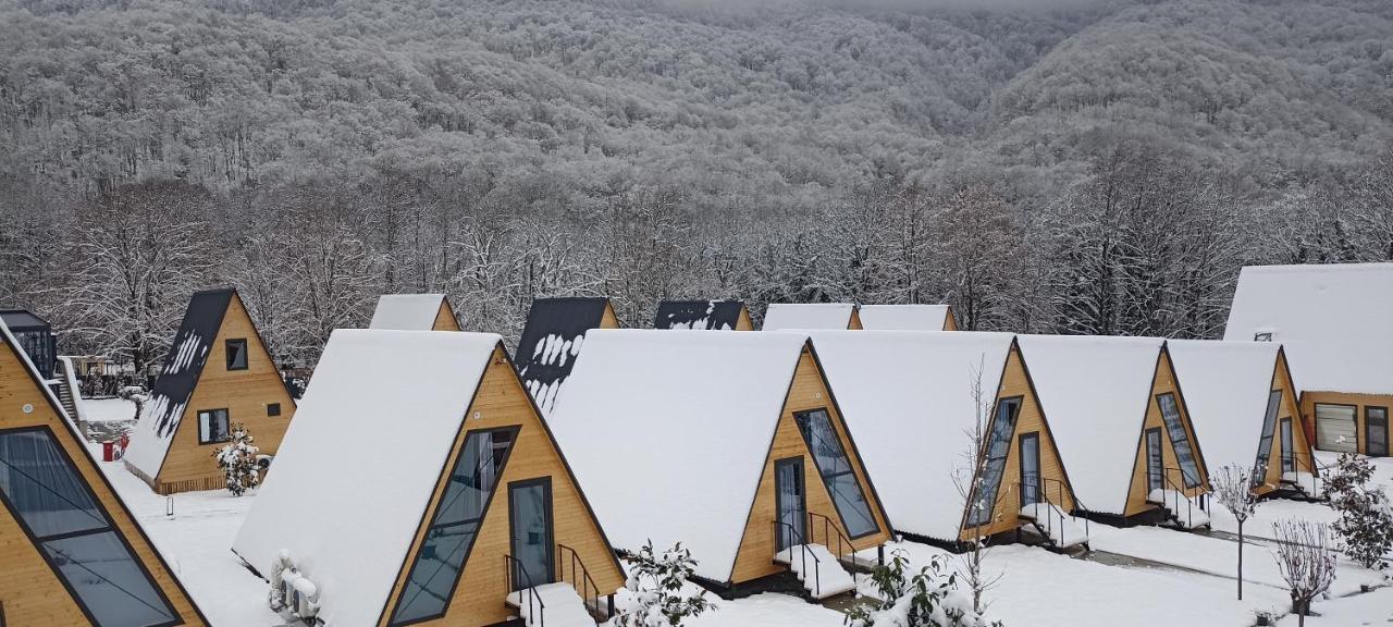 Reserve Resort Lagodekhi Eksteriør bilde