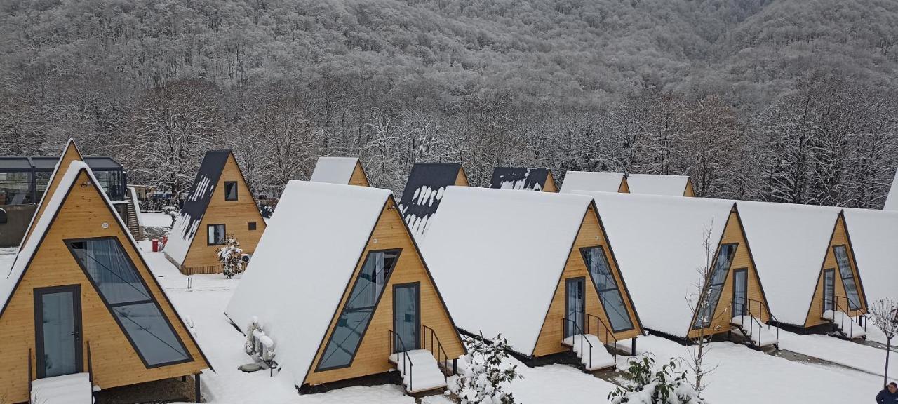Reserve Resort Lagodekhi Eksteriør bilde